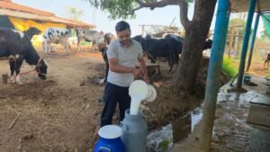 कृत्रिम गर्भाधान तकनीक से घर में तैयार हो रही उन्नत नस्ल की गायें