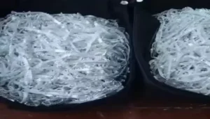 महासमुंद में बड़ी कार्रवाई: बस यात्री से लाखों की चांदी जब्त, जांच एजेंसियां अलर्ट