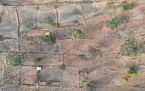 सैटेलाइट निगरानी में पकड़ी गई जंगल की लूट: 166 लोगों के खिलाफ FIR, बड़ा एक्शन