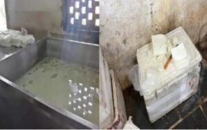 शादी के मौसम में मिलावटखोरी पर वार, छापेमारी में बड़ी मात्रा में पनीर नष्ट